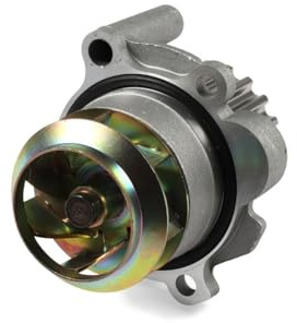 Hepu P565 Wasserpumpe