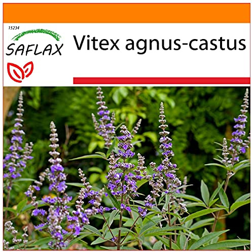 SAFLAX - Garden in the Bag - Heilpflanzen - Mönchspfeffer - 30 Samen - Mit Anzuchtsubstrat im praktischen, selbst aufstellenden Beutel - Vitex agnus-castus