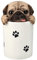 Pacific Giftware Mops Figur als Leckerli Dose - Aufbewahrung für Snacks und Belohnungen für Hunde - Figur Deko