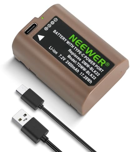 NEEWER 2400mAh DMW-BLK22 Replacement Camera Battery for Panasonic Lumix S5IIX S5II S5 GH6 DC-G9 II GH5M2,2.8 Hrs Safe 100% Full Battery Charge with USB Type C Cable