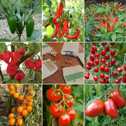 Paquete Múltiple de Semillas de Chile y Tomate - Kit de Semillas de Chile Picante y Tomates de 8 Variedades Diferentes