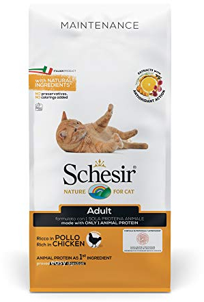 Schesir Cat Adult Maintenance Huhn, Katzenfutter trocken für erwachsene Katzen, Beutel, 10 kg