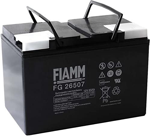 Fiamm Batterie au plomb fg26505, 12 V plomb-acide