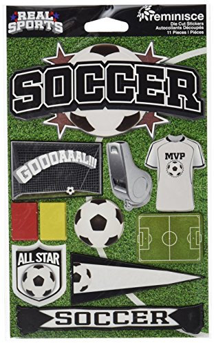 Real Sports Dimensional Stickers 4.5X6 Sheet-Soccer