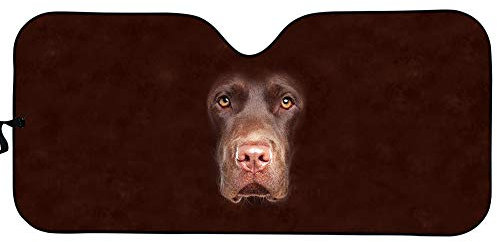 Amzbeauty Parasol para coche con diseño de animales lindos