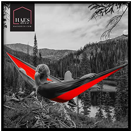 HAES DECO - Kunststoff Bilderrahmen 50x50 satinmatt schwarz Easy Click Frame - Portraitrahmen mit Wandbefestigung - Wechselrahmen/Portraitrahmen - Bilderrahmen mit entspiegeltem Plexiglas - EC18B