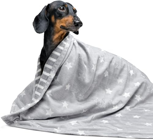 ARGOPET Kühldecke für Hunde, 104,1 x 76,2 cm, leicht, selbstkühlend, Bettüberwurf für Hunde und Katzen, Sommerdecke aus Eisseide, kühlende Haustierdecke, Überwurfdecke für Zwinger, Sofa