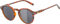 ALPINA Sneek - Stylische Sonnenbrille für Erwachsene, havana gloss