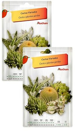Semillas de Cactus Variados, Cacto Y Plantas Gordas, 2 Sobres para Plantar