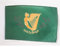 AZ FLAG - Flagge Irland Erin Go Bragh - 45x30 cm Mit Kordel - Erin Go Braugh Fahne 30 x 45 cm - Flaggen