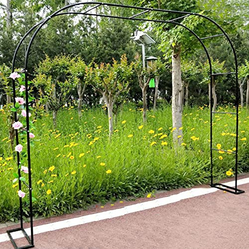 1,2 M 1,4 M 1,8 M 2,0 M 2,4 M 3,0 M 3,5 M Grande Arche De Jardin En Métal, Support Pour Plantes Grimpantes, Tuyau Galvanisé De 19 Mm, Arceau À Rosiers, Largeur Côté: 25cm ( Size : 3.5mx2.2m/11.5ftx7.2
