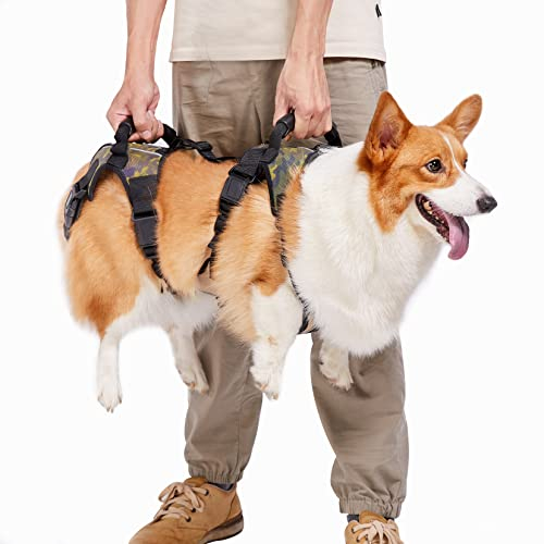 Coodeo Hunde-Hebegeschirr, Ganzkörper-Stütz- und Erholungsschlinge, Haustier-Hinterbeinstütze, Rehabilitationsweste, Hundetrage für ältere Hunde mit Gelenkverletzungen (XXXL)