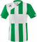 Erima Herren Siena 3.0 Trikot (3131820), smaragd/weiß, XXL