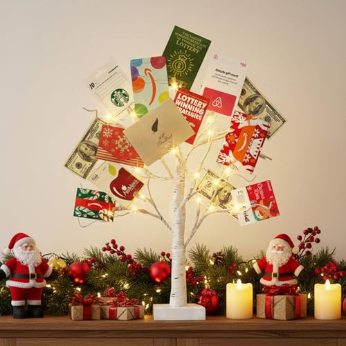EAMBRITE Money Tree Gift Holder, Lighted Birch Tree 2FT 24LED, Battery/USB Powered Timer Light Up Display Twig Gift Card Tree with 12 Clear Clips and 6 Cards for Home Christmas Graduation Photo Memo