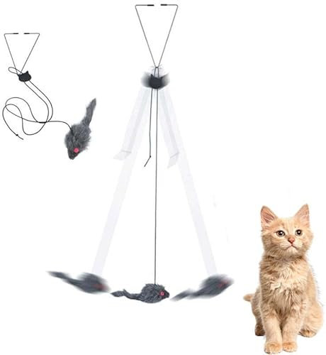 dinghaole 2 Packs Cat Toy Chasing Exercise Entertain Toy Hanging Door Cat Toy Mouse Teaser Toys for Indoor Cat Kitten