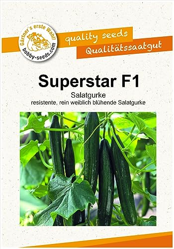 Gurkensamen Superstar F1 Gewächshausgurke Portion Grün