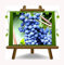 Vigne variété noir résistant - Plante de fruits porte-greffe sur pot 20 - arbre max 170 cm - 2 ans