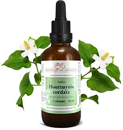 Houttuynia cordata Tinktur 50ml | Houttuynia cordata Tropfen (1:4 Extrakt) | Top Premium Qualität aus Österreich | Veganes Nahrungsergänzungsmittel ohne Zusatzstoffe | Fischkraut, Chameleon-Pflanze