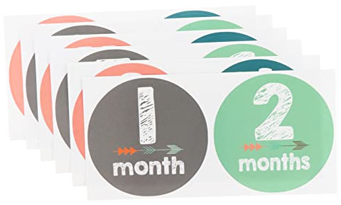 Meilenstein Aufkleber für Neugeborene 12 Stück Selbstklebend | Adhäsionspapier, Schöne Designs für Babyfotos und Scrapbooking, für Mädchen und Neugeborene