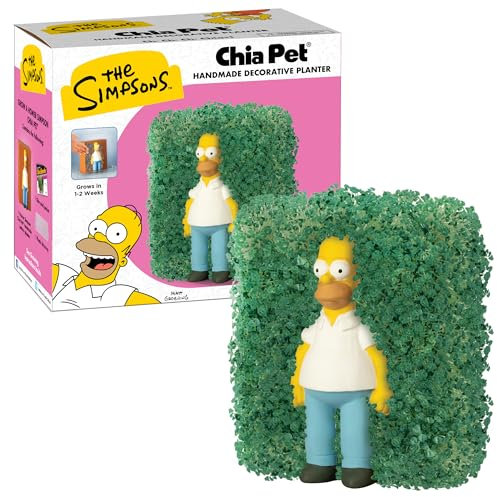 Chia Jardinière, Terre Cuite, Multicolore