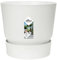 elho Greenville Rund 25 Blumentopf für Außen - Selbstbewässerungstopf - 100% recyceltem Plastik - Ø 24.5 x H 23.3 cm - Weiß/Weiss