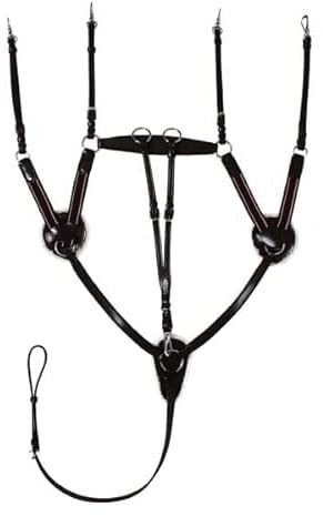 Start 5-Punkt Vorderzeug aus Leder für Pferde – mit abnehmbarem Martingal, elastisch, mit Schaffell, einstellbar – Warmblut, Vollblut, Kaltblut – Edelstahl-Beschläge (Pony, Schwarz)