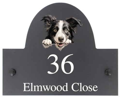 Schild mit Border Collie, personalisierbar, Schiefer, Hausname oder Nummer, 25 x 20 cm