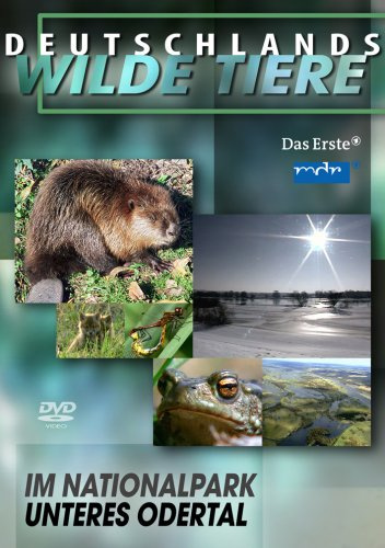Deutschlands wilde Tiere - Im Nationalpark Unteres Odertal