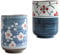 UPKOCH 2Pcs Tasses de Thé Japonaises en Céramique Tasses Thé