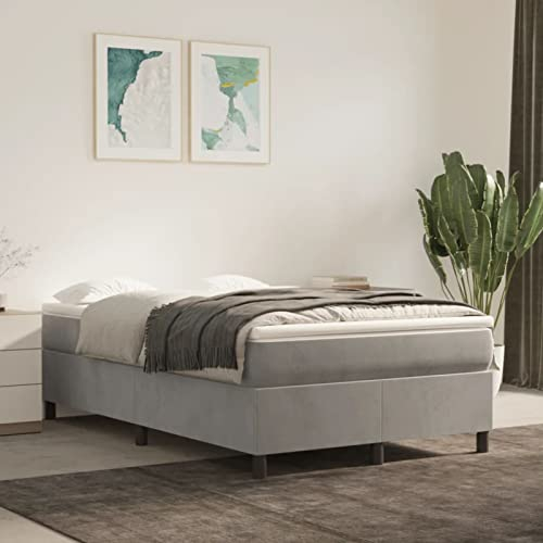 Rantry Boxspringbett Bett mit Matratze Bettgestell Rahmenbettgestell ohne kopfteil Einzelbett | Doppelbett Rahmenbettgestell Bettrahmen für Schlafzimmer Hellgrau 120x200 cm Samt#A