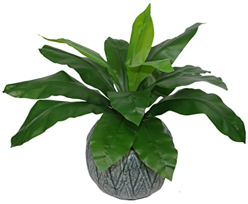 Leaf Artificial Fern, Standard Bird Nest, 50cm