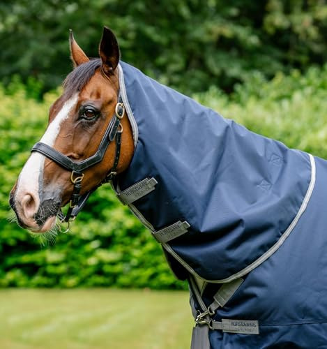 Amigo® Bravo 12 XL Hood (0g Light) – Horseware Ireland