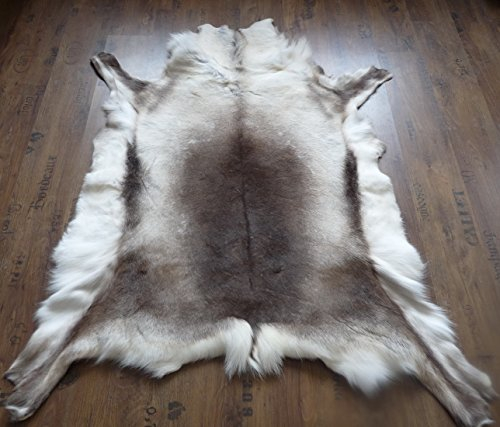 XXL RENTIERFELL Rentier Dekofell Original Skandinavien 150-170 x 120-130cm mit Siegel