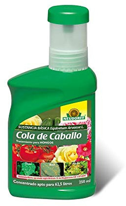 Fongicide naturel substance de base queue de cheval, Equisetum Arvense L, traitement des champignons oïdium et mildu, 250 ml (concentré pour 62,5 litres).