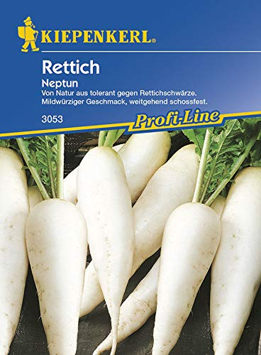 Kiepenkerl Profi-Line Rettichsamen Neptun, F1 3053 - Tolerant gegen Rettichschwärze, Mildwürziger Geschmack - Inhalt für 100 Pflanzen - Samen Gemüse