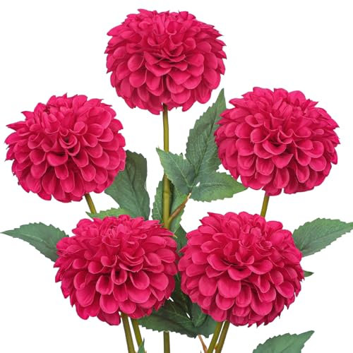 Hollyone Artificial Pompon Dahlia Flowers, Set of 5 | 24.8 Tall Silk Dahlia Stems with 4.7 Blooms, Hot Pink Fake Flowers for Home Decor, Centerpiece, Wedding, Living Room, Floral Arrangements