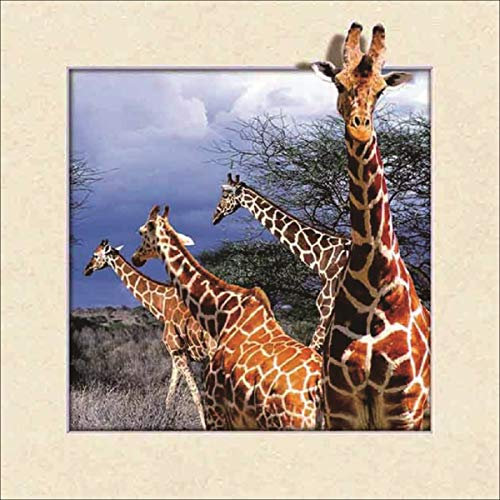 3D Bild Giraffe 4313, viele 3 dimensionale Bilder zur Auswahl.