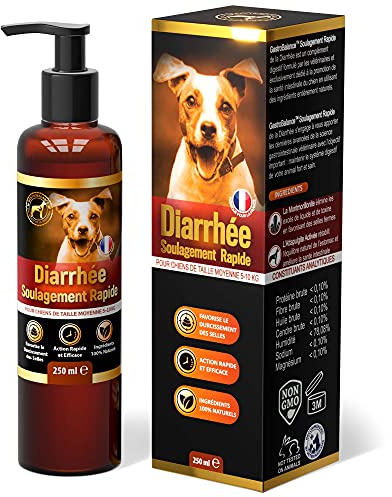 GastroBalance Traitement Chien diarrhée - Soulagement Anti diarrhée Chien de Taille Moyenne (FRANÇAIS)