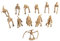 ifundom 12St lustige dinosaurierverzierung saurier Spielzeug Dinosaur Toys Mini-Dinosaurierfigur Spielzeug pädagogische Dinosaurierfiguren Dinosaurier-Skelett Dinosaurier-Spielzeug Hölzern