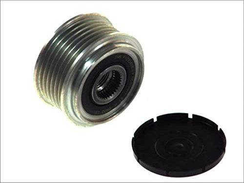 INA Alternator Freewheel Clutch 535009810