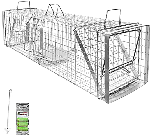Petigi Piège à Animaux Humaine Animal Vivant Piège Cage 130 x 34 x 34 cm Chat Renard Castor Raton Laveur