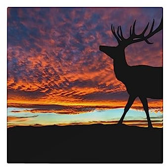 Red Deer Bull Elch Sunset Printed Ceramic Coasters Set of 6 Absorbent Ceramic Coasters Drink Coasters with Cork Base Tabletop Protection Mat for Mugs Cups Office Kitchen
