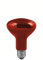 Paulmann Reflektorlampe R95 100W E27 Infrarot