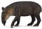 CollectA 88596 - Mittelamerikanisches Tapir