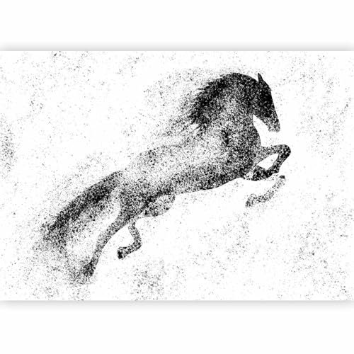 murando - Papier peint panoramique animal 200x140 cm - Revêtement mural décoration chambre salon - Design moderne - Blanc gris noir - Animaux chambre taches peinture cheval peint g-C-10111-a-a