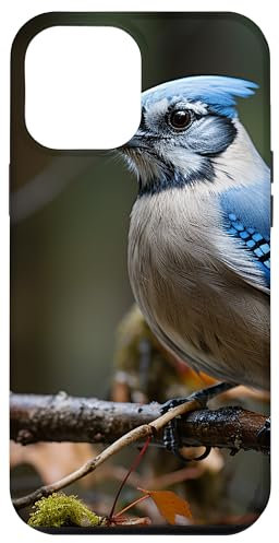 iPhone 13 Pro Max Blue Jay Bird Lover Case
