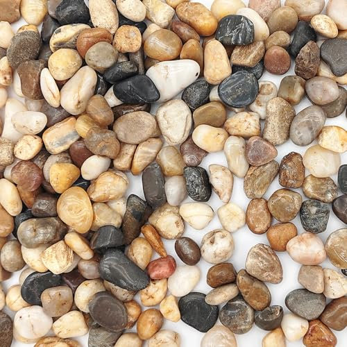 Kisvic Flusskiesel, Deko Steine Kleine, Kieselsteine Polierte zum Basteln Ziersteine Garten 9-13mm für Vasen Pflanzen Garten Landschaftsbau Sukkulenten (450 Gramm)
