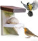 ERDENFREUND® Vogelfutterhaus Meisenknödel ohne Netz & Plastik Vogelfutterspender für Meisen, Spatzen, Rotkehlchen & Co. Futterhaus für Vögel regenfest