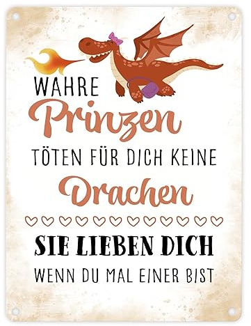 Prinzen töten keine Drachen Metallschild in 15x20 cm zum Valentinstag als Geschenk für deine Freundin oder die Ehefrau zum Hochzeitstag um ihr zu zeigen wie sehr du sie liebst