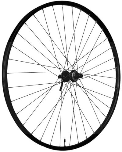 ROLAND Vorderrad 28 Zoll 622 Schwarzer Scheibenbremsen -Centerlock Rivalen 21